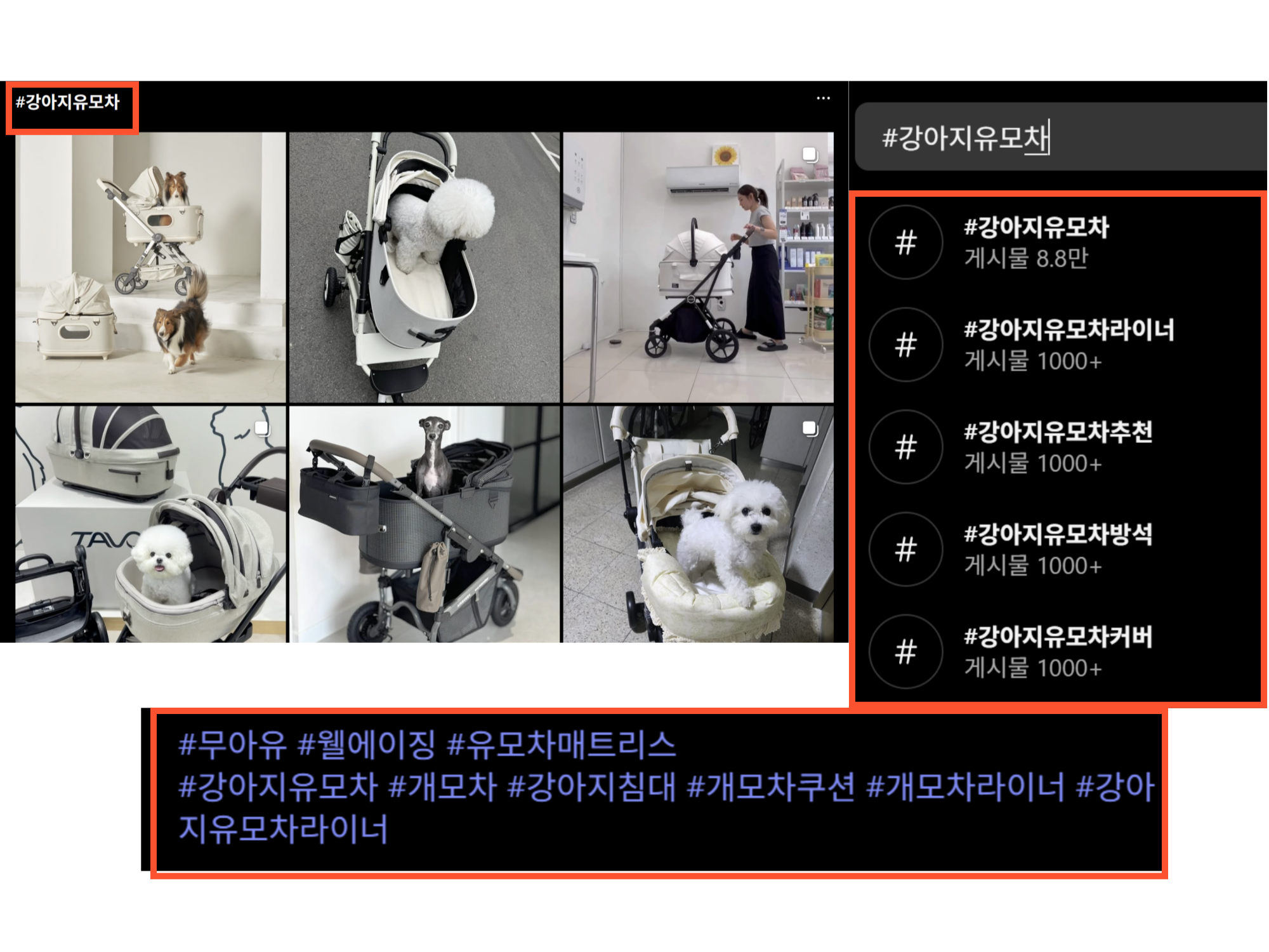 데이터 설명